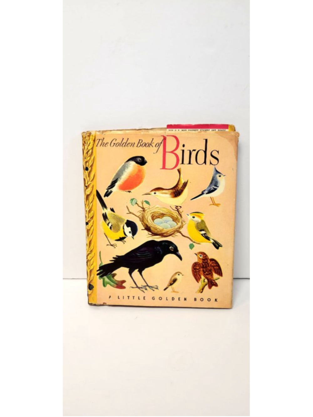 Vintage 1943 The Little Golden Book of Birds